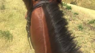 Hacking out and Missy