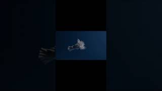 Rope animation #geometrynode #blender #render