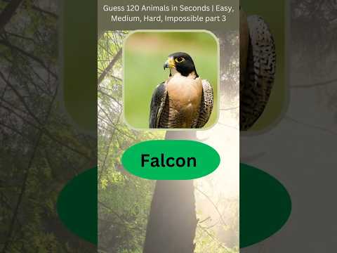Can You Learn 100 Animal Species in ONE Week? #birds #animals #quiz
