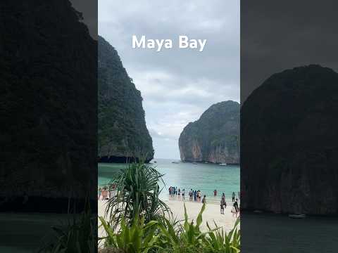 Beautiful Maya Bay Island 🏝️ #thailand #travel #explorepage #mayabay #island #nature #sea #sealife