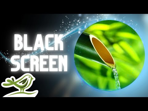 [NO ADS] The Creek | Black Screen & Soft Piano Music for Deep Sleep by Peder B. Helland