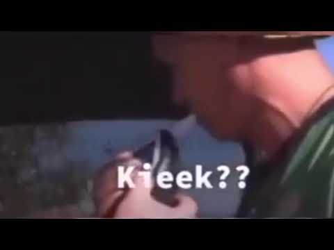 Kieek??