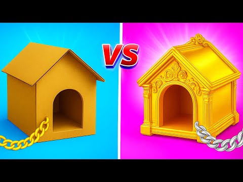 Helped a Homeless Puppy! Secret Life Hacks for Pet Owners 🐶🎉