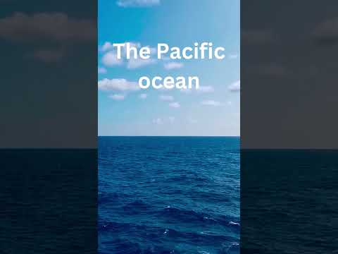 Can you guess the biggest ocean? #shorts #challenge #geography #education