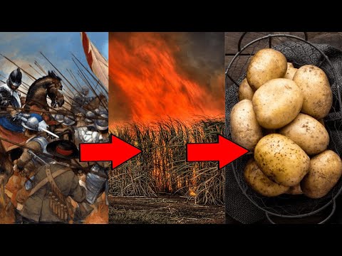 Why Germans Love Potatoes So Much? #Shorts