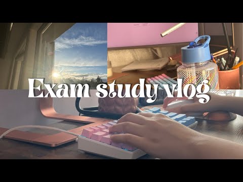 72 hr productive study vlog |exam revision, cramming and lots of studying✍🏻