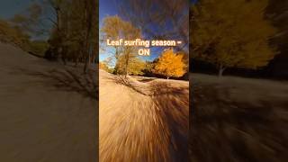 Leaf season season - ON 🍂🍁🪾 #fpv #drone #fpvdrone #fpvpilot #dji #autumn #fpvlife #fpvfreestyle