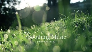 [Soothing Music] for relaxation | Sleep | Meditation | Calm