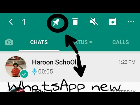 WharsApp new feature 2017 Android in Hindi