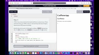 How to make a website - Responsive web design Basics for Beginners (freecodecamp tutorial step 4-6)