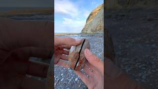 Here is a suspicious rock that we found on a recent beach and opened up with our hammer! 🏝🌊
