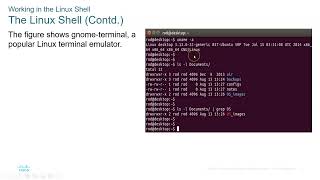 Cisco CyberOps Associate Module 4