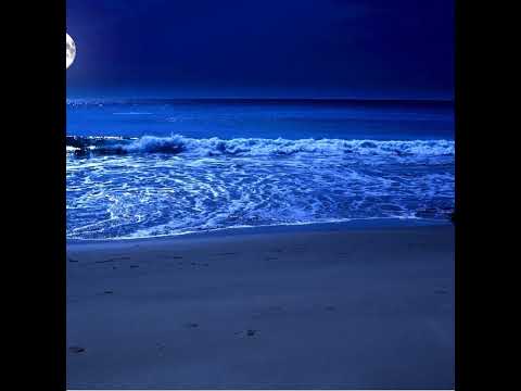 Sự kiện trực tiếp của Waves Souns Sleep