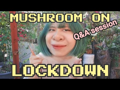 The Q in Q & A means Quarantine..