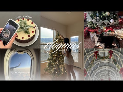 VLOGMAS WEEK 3 & 4 🎁🎄 | winter reset, visiting home, what I got for xmas, holiday baking & more!