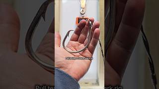 Shark rig pull test #sharkfishing #lbsf #circlehook #mustad