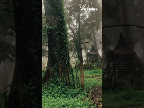 Whatsapp status Instagram reel