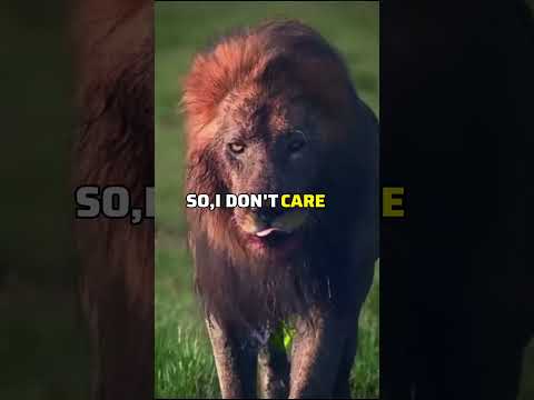 Sigma Rule🗿🔥~I don't care who stay orleave~#motivation #inspiration #attitude #viral #shorts #quotes