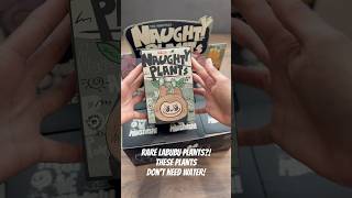 Naughty plants! #shorts #ytshorts #asmr #toys #unboxingtoys #unboxing #youtubeshorts #labubu #rare