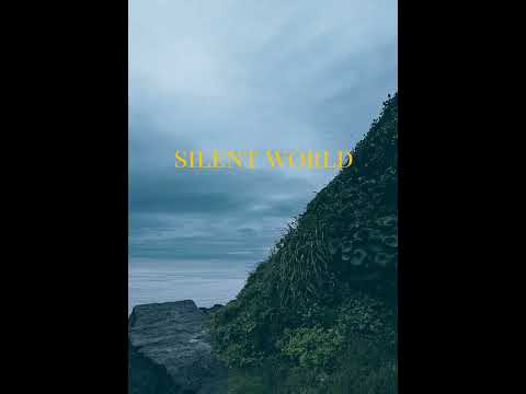 舐達麻 × GREEN ASSASSIN DOLLAR type beat "SILENT WORLD" (Prod. インテリ犬)