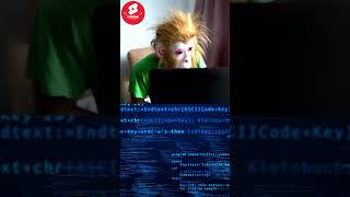 "Monkeying Around with Code: Hilarious Hijinks of a Prankster Programmer!"