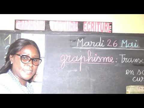 LES HIRONDELLES - Grande Section - Leçon de Transcription du Mot en scripte ou Cursive