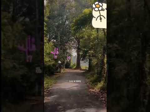 poongatrilea... song what's app status edit ...❤️💫 ... srkeditz ... #love #editing #edit #srkeditz .