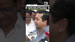 "I am a woman…" Nitesh Rane takes a playful jibe at Shiv Sena (UBT) leader Aaditya Thackeray
