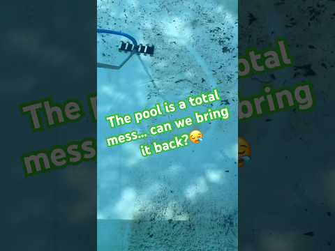 Can this pool be rescued after the rain? 🌧️🧽 #poolcleaning #poolmaintenance #pool #satisfying
