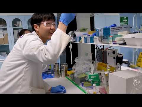 Study innovative energy research with Exciton Science