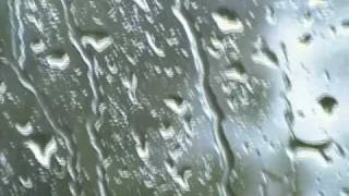 camera quality test. tell me what you think...