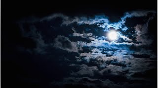 Emergency iPhone Repair – iPhone Port Damage | Feb 25th 2026