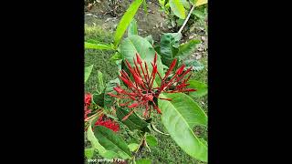 Google Pixel 7 Pro | Hands-On | First Look & Camera Review