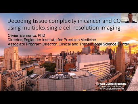 Decoding tissue complexity in cancer and COVID using multiplex single cell resolution imaging