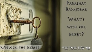 Parashat Bamidbar - What's so special about the desert? - Rabbi Alon Anava