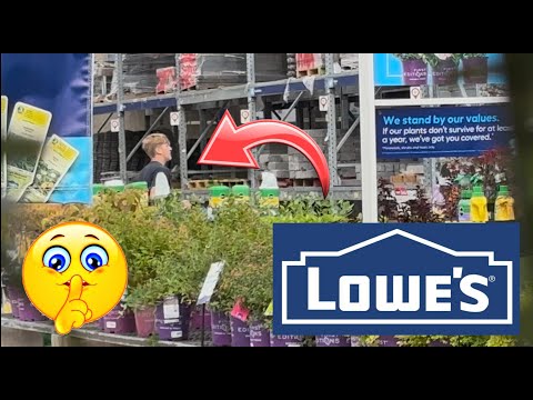 playing hide and seek in Lowes