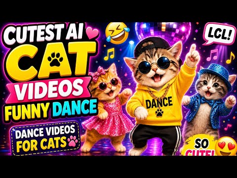 ''Cutest ai Cat videos funny dance🤣💃Dance Videos for cats #funny #dancingcat #cat #cute