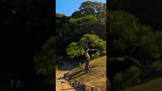 Cinematic Walk in a Japanese Garden 🌸 | Calm & Relaxing Ambience