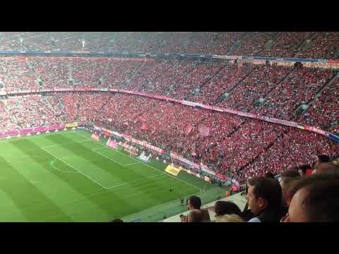 SÜDKURVE MÜNCHEN - Immer vorwärts FCB…