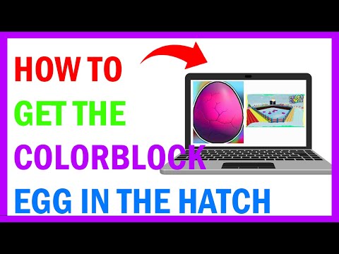 How To Get COLOR BLOCK EGG in The Hatch Event! (2025)