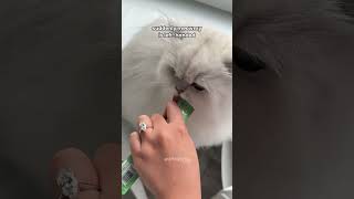Esta página ahora está dedicada a mi anillo jajaja