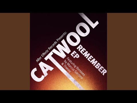Remember (Theory Remix)