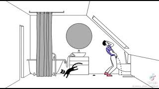 FORM FOLLOWS FUNCTION