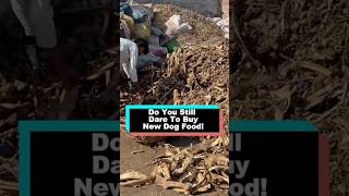 Do You Still Dare To Buy New Dog Food!#youtube #learning #shorts #foryou