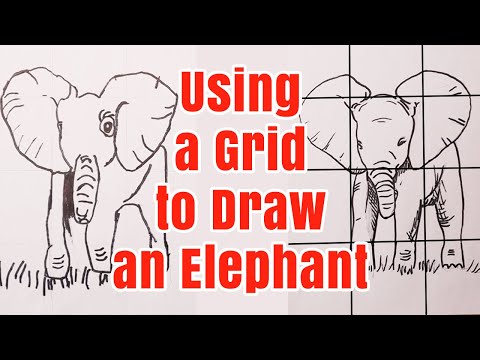 How to Draw an Elephant Using a Grid - Art Tutorial For Kids