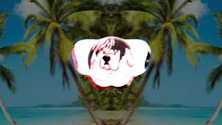 DJ SALAH APA AKU BURUNG GAGAK REMIX 2019