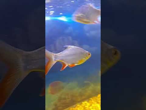 tu hai to mujhe phir aur kya chahiye