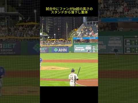 試合中にファンが6m超の高さのスタンドから落下し重体 #MLB
