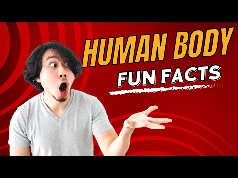 Human Body Trivia: 11 Interesting Health Facts