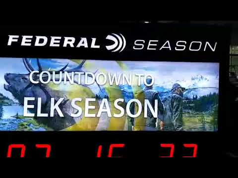 count down clock light box